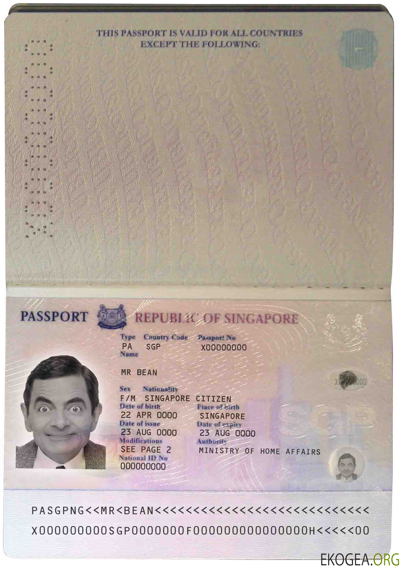 Pass Singapour (2006 2017)